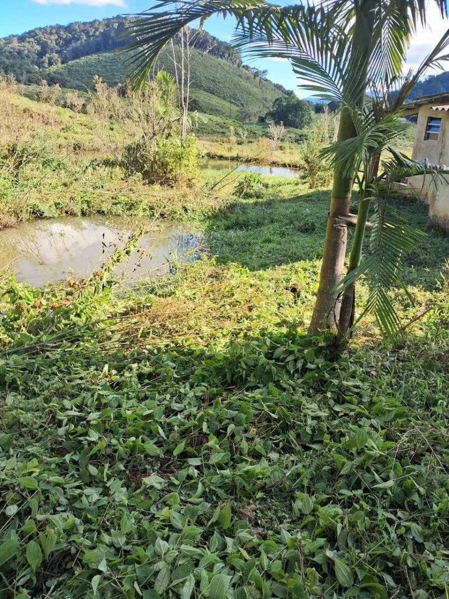 Fazenda à venda de 121 ha em Registro, SP, Brasil