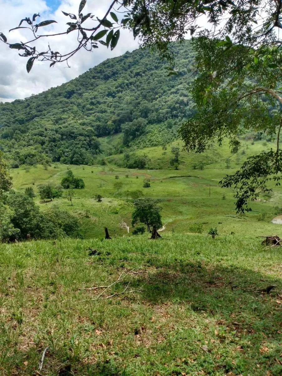 Fazenda à venda de 121 ha em Registro, SP, Brasil
