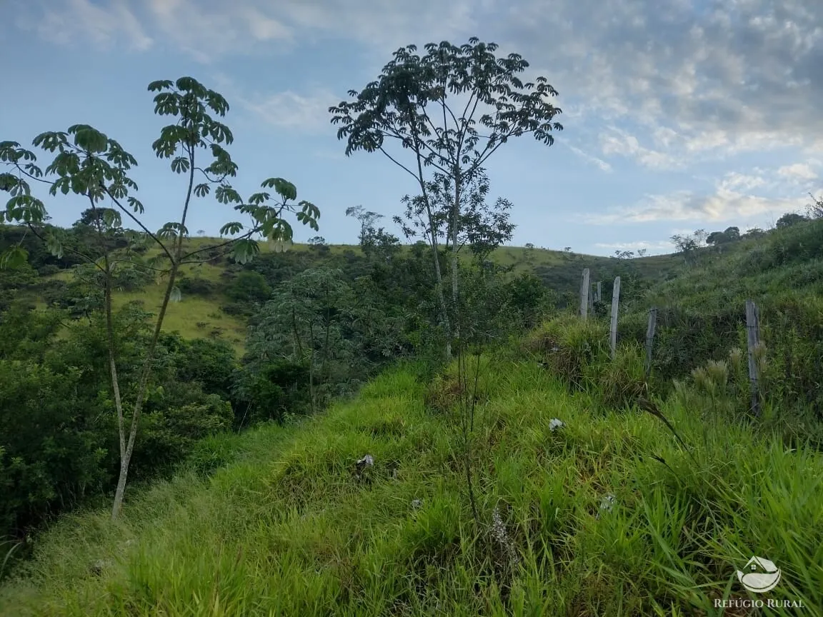 Plot for sale of 6 acres in São José dos Campos, SP, Brazil