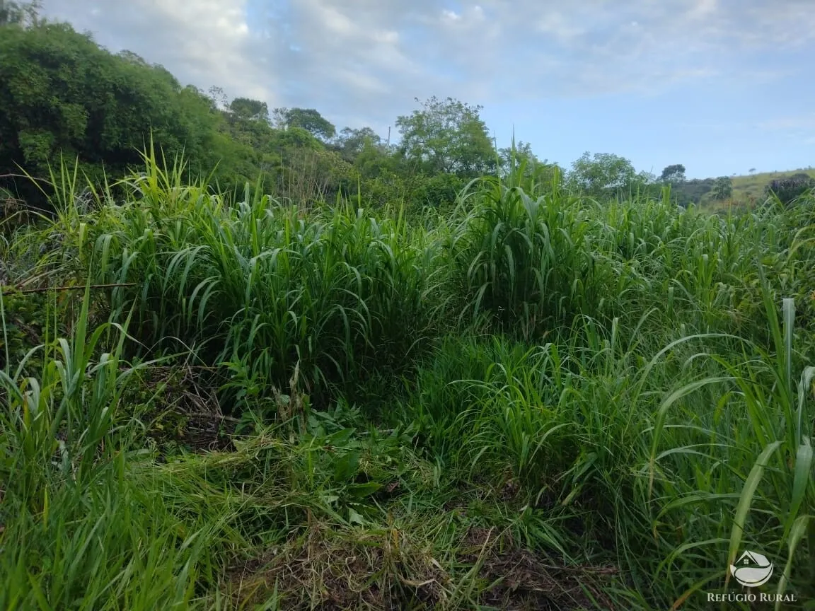 Plot for sale of 6 acres in São José dos Campos, SP, Brazil