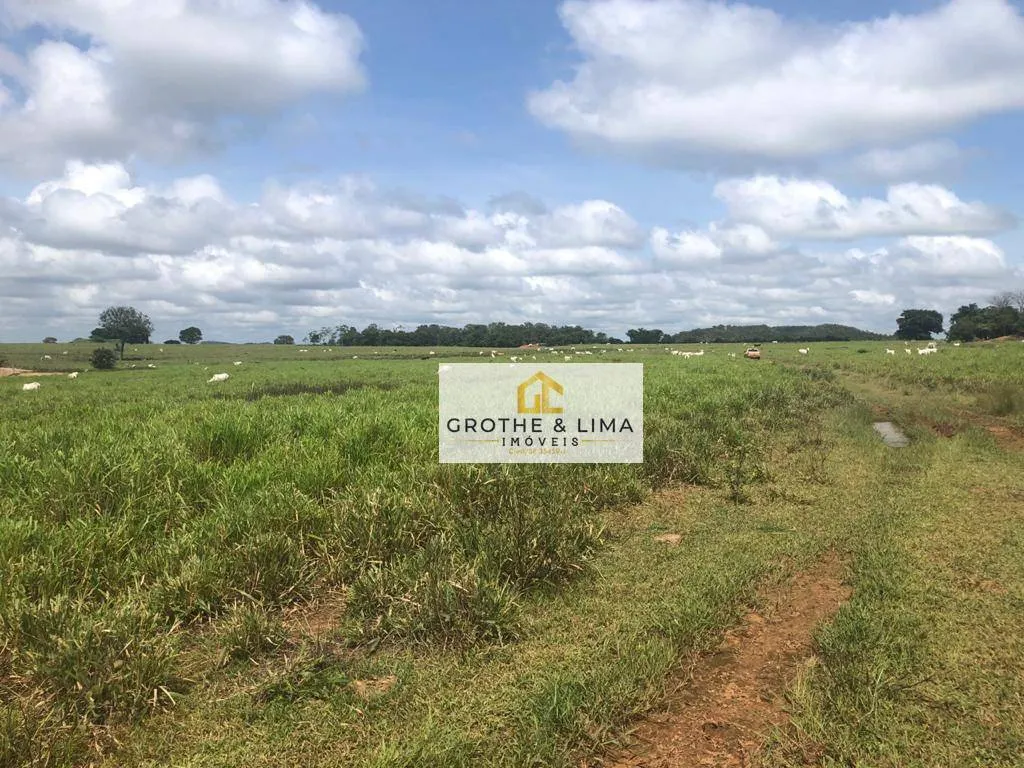 Fazenda à venda de 9.910 ha em Paraíso do Tocantins, TO, Brasil