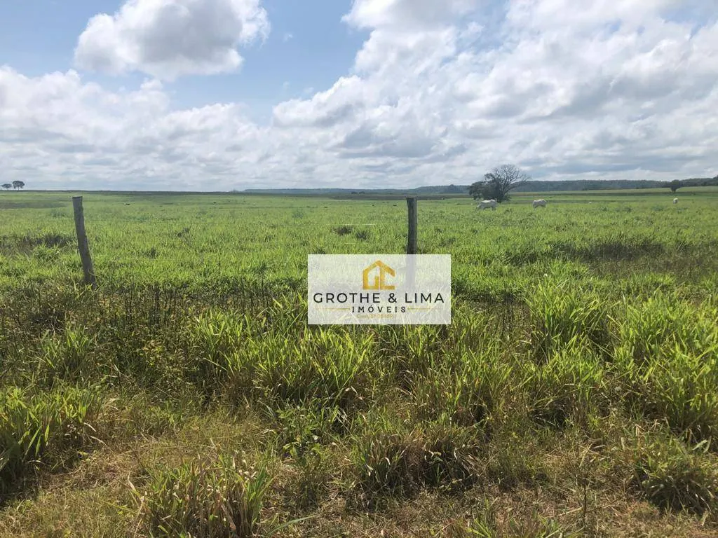 Fazenda à venda de 9.910 ha em Paraíso do Tocantins, TO, Brasil