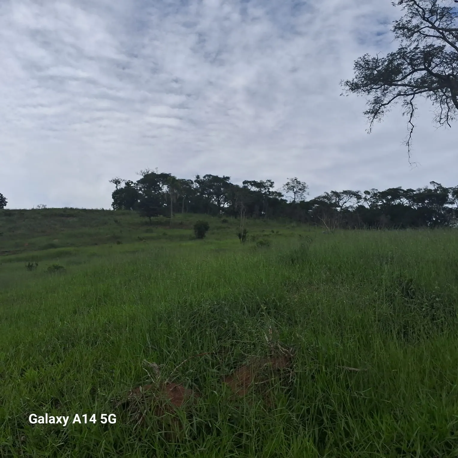Small farm for sale of 5 acres in Baependi, MG, Brazil