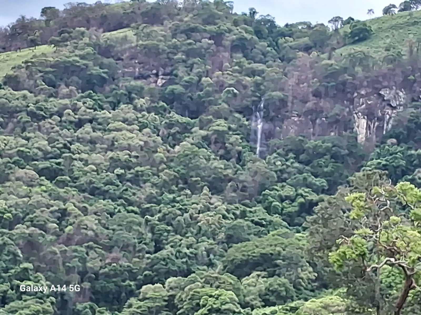 Small farm for sale of 5 acres in Baependi, MG, Brazil
