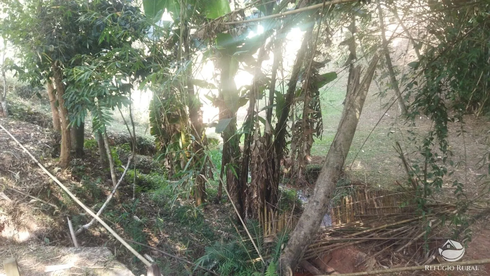 Sítio à venda de 24 ha em São José dos Campos, SP, Brasil