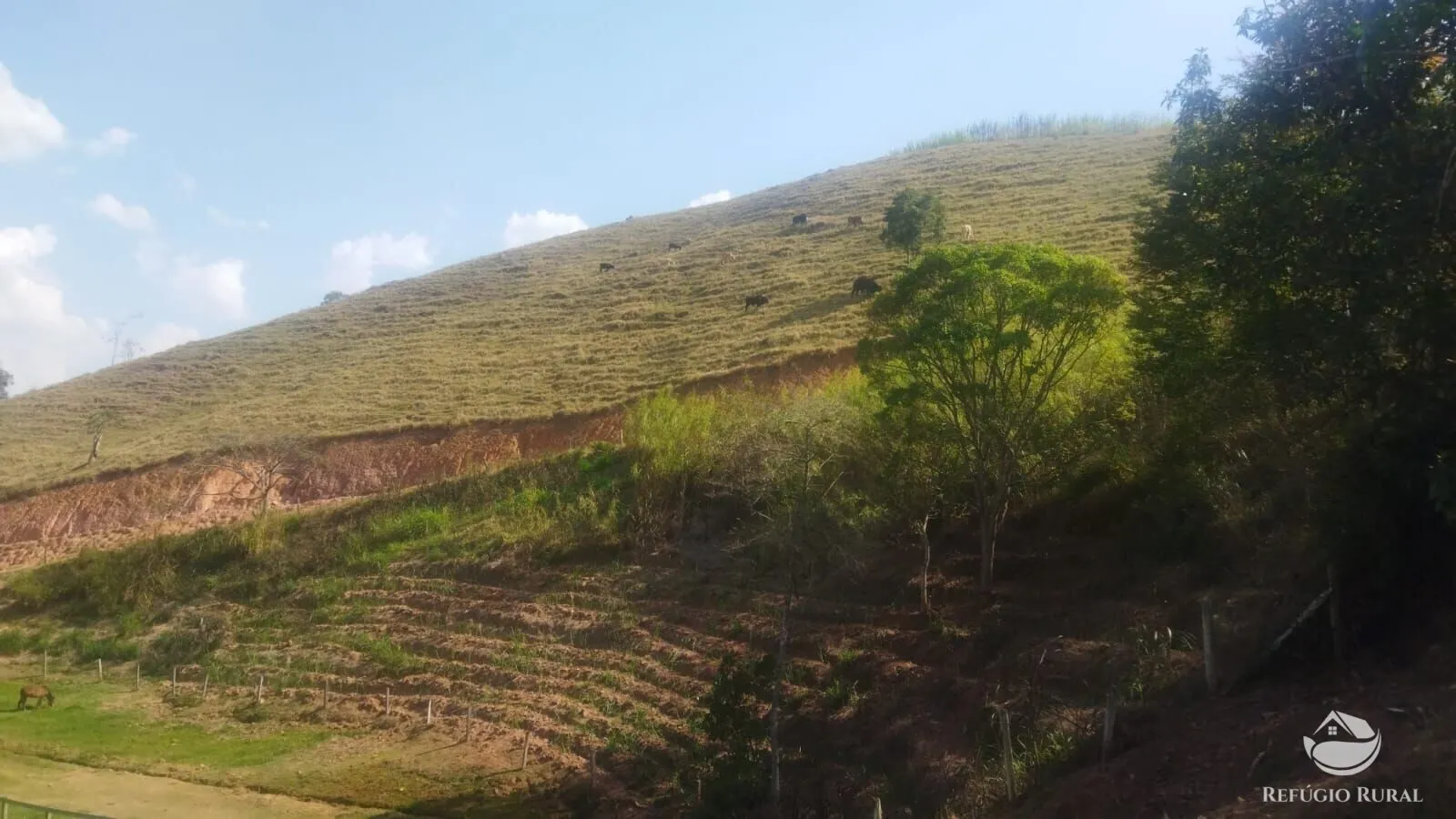Sítio à venda de 24 ha em São José dos Campos, SP, Brasil