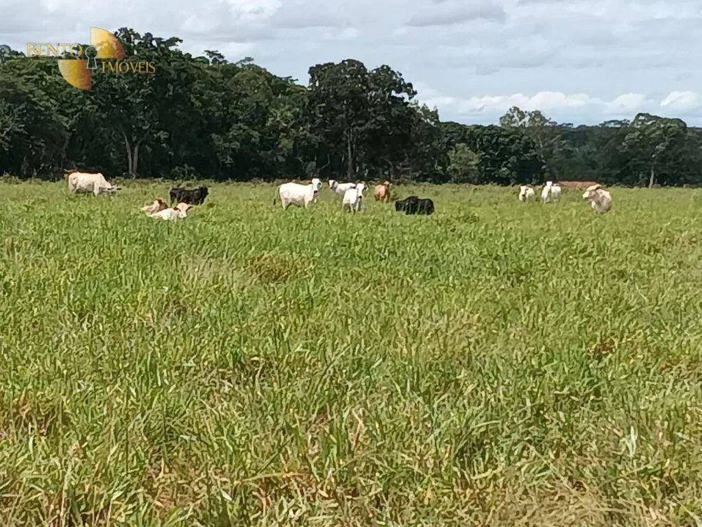 Farm for sale of 717 acres in Cuiabá, MT, Brazil