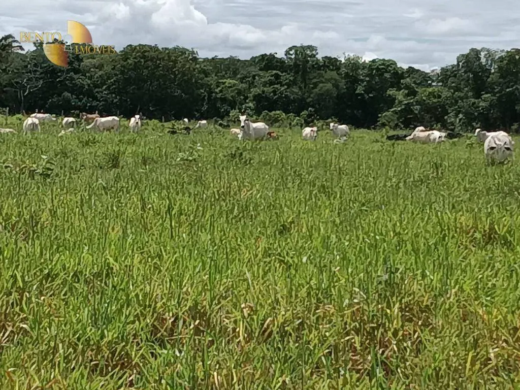 Farm for sale of 717 acres in Cuiabá, MT, Brazil