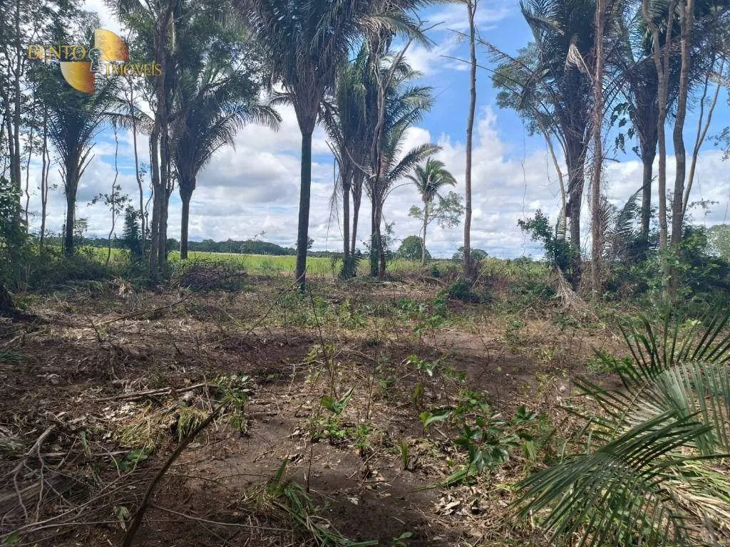 Farm for sale of 717 acres in Cuiabá, MT, Brazil
