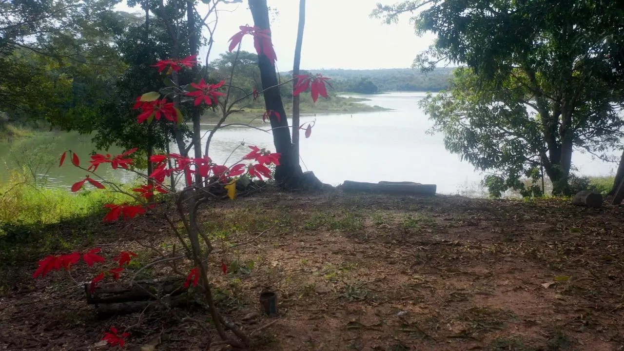 Small farm for sale of 12 acres in Luziânia, GO, Brazil