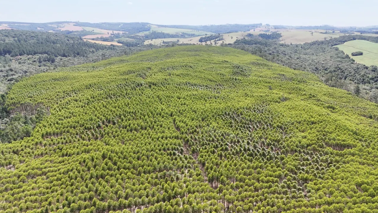 Fazenda à venda de 182 ha em São Miguel Arcanjo, SP, Brasil