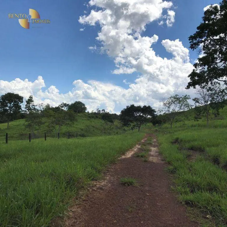 Fazenda à venda de 551 ha em Nobres, MT, Brasil
