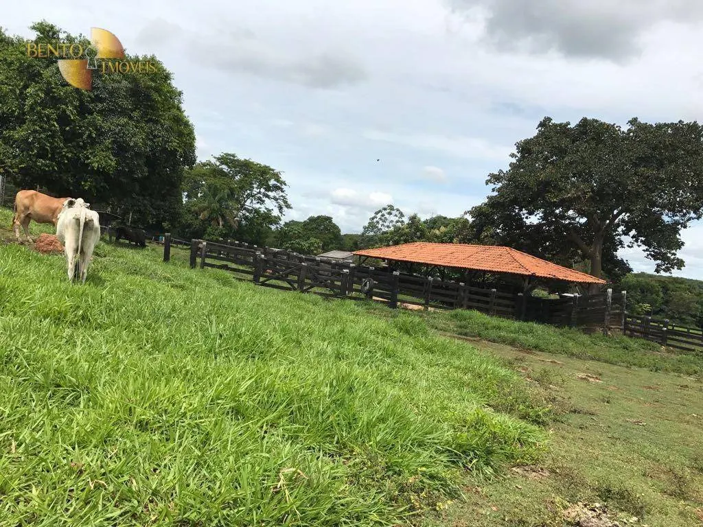 Fazenda à venda de 551 ha em Nobres, MT, Brasil