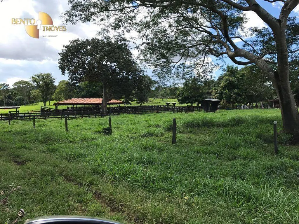 Fazenda à venda de 551 ha em Nobres, MT, Brasil