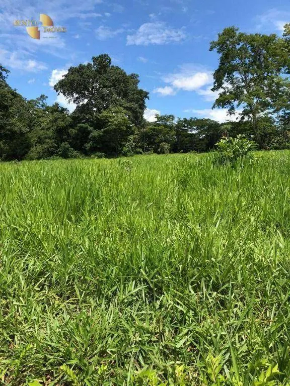 Fazenda à venda de 551 ha em Nobres, MT, Brasil