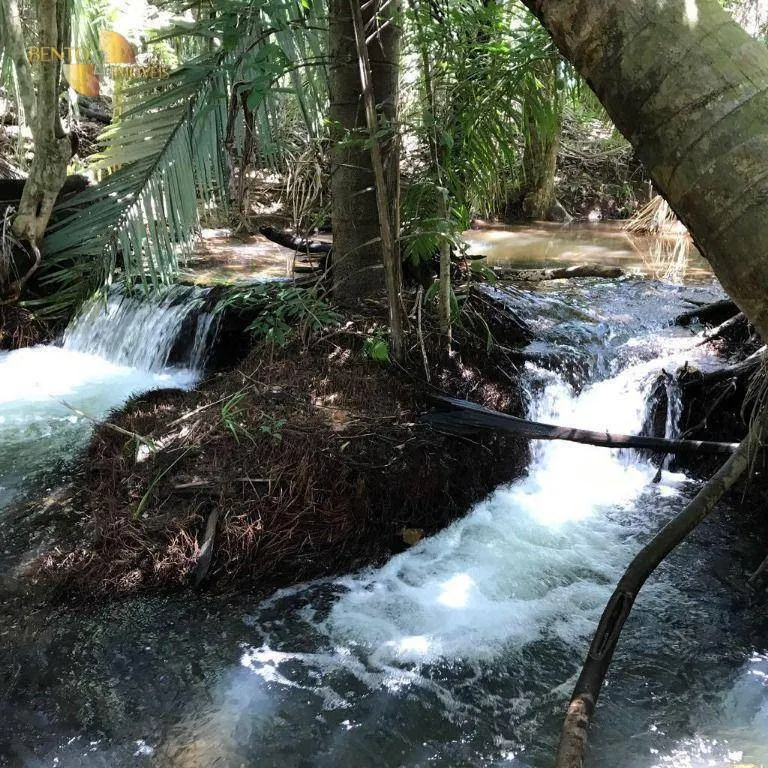 Fazenda à venda de 551 ha em Nobres, MT, Brasil
