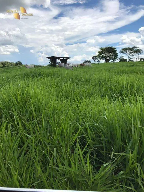 Fazenda à venda de 551 ha em Nobres, MT, Brasil