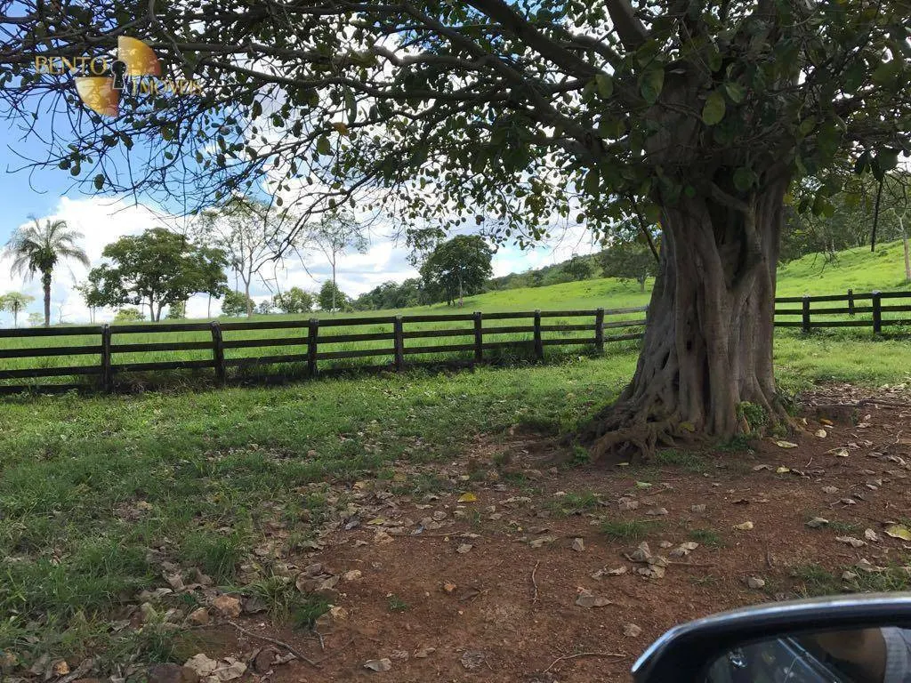 Fazenda à venda de 551 ha em Nobres, MT, Brasil