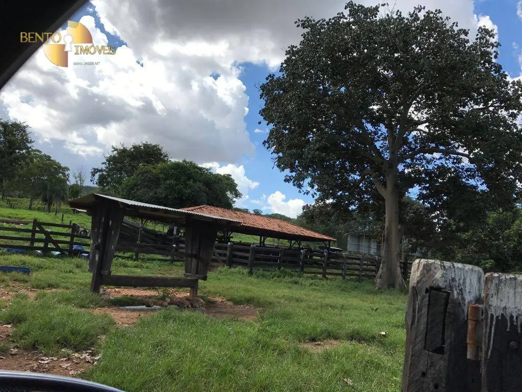 Fazenda à venda de 551 ha em Nobres, MT, Brasil
