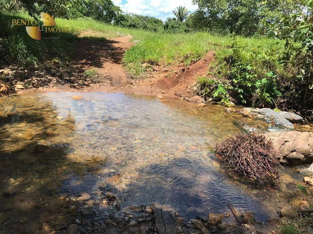 Fazenda à venda de 551 ha em Nobres, MT, Brasil
