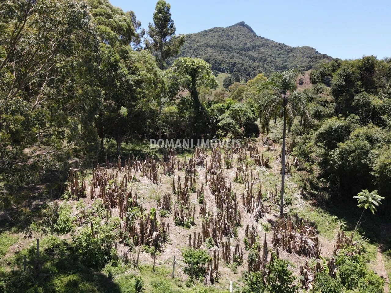 Small farm for sale of 57 acres in São Bento do Sapucaí, SP, Brazil