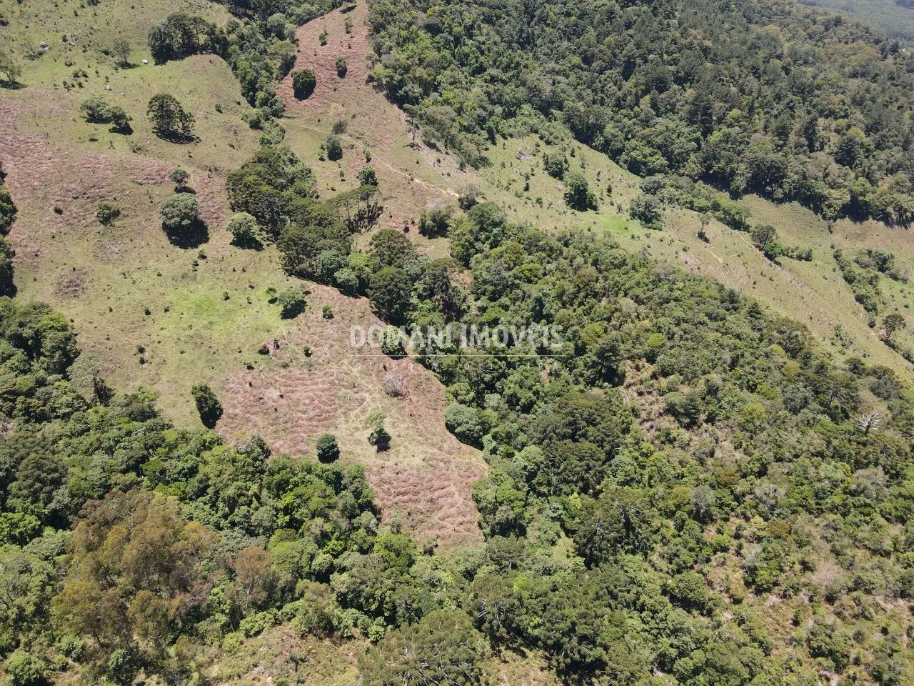 Small farm for sale of 57 acres in São Bento do Sapucaí, SP, Brazil