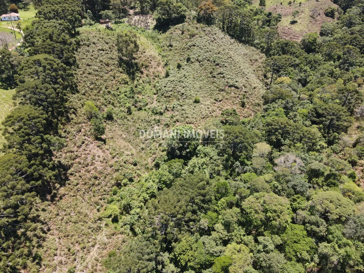 Small farm for sale of 57 acres in São Bento do Sapucaí, SP, Brazil