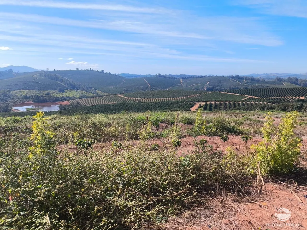 Fazenda à venda de 169 ha em Guaxupé, MG, Brasil