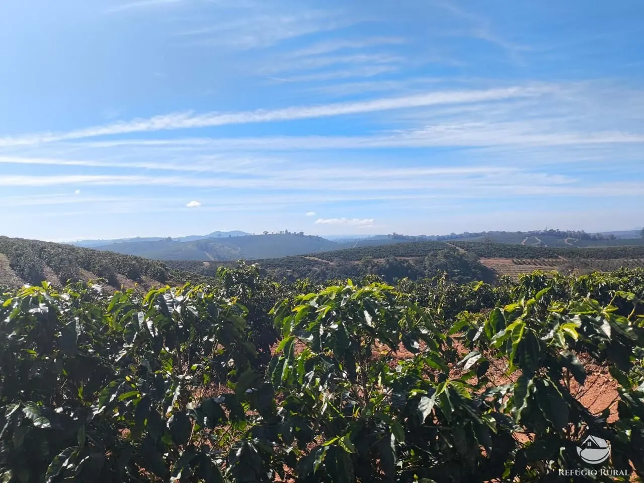 Fazenda à venda de 169 ha em Guaxupé, MG, Brasil