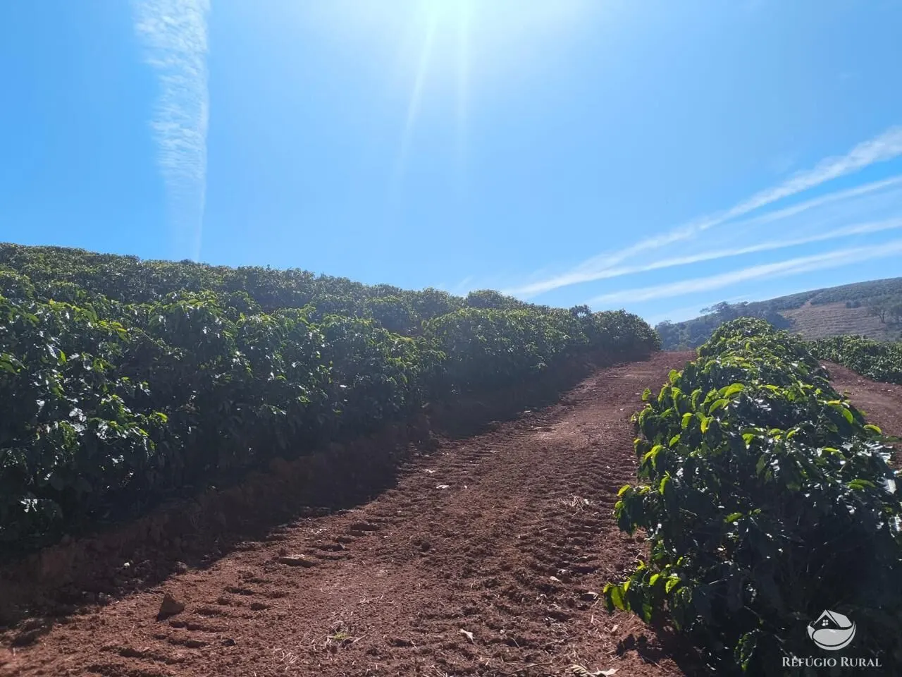 Fazenda à venda de 169 ha em Guaxupé, MG, Brasil