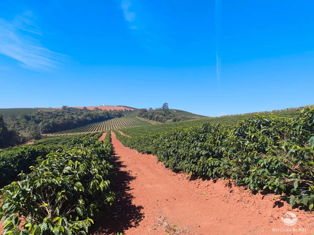 Fazenda à venda de 169 ha em Guaxupé, MG, Brasil