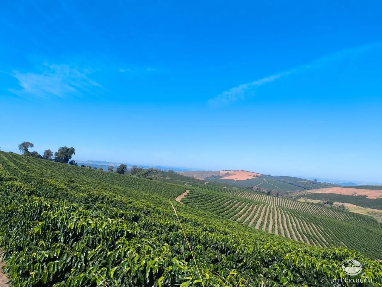 Fazenda à venda de 169 ha em Guaxupé, MG, Brasil