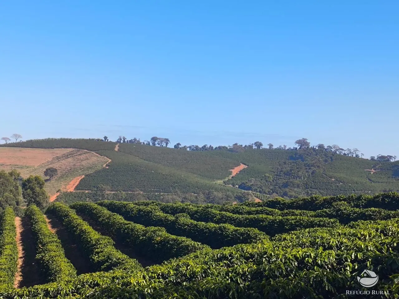 Fazenda à venda de 169 ha em Guaxupé, MG, Brasil