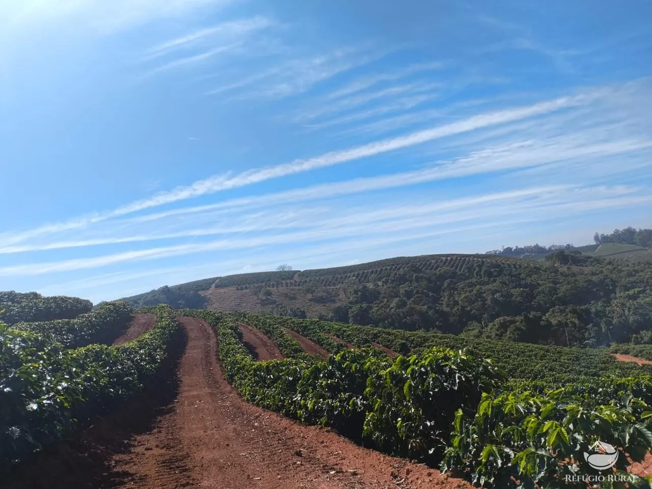 Fazenda à venda de 169 ha em Guaxupé, MG, Brasil