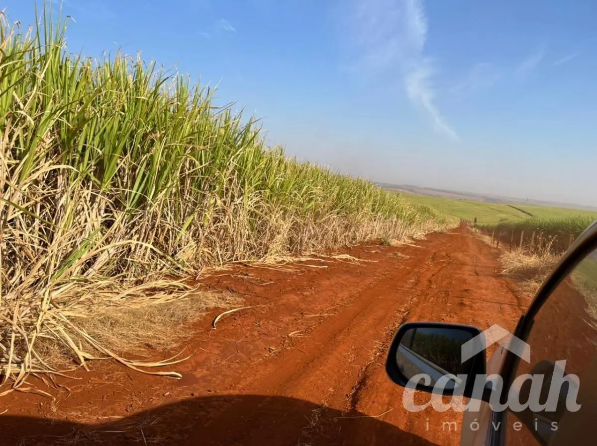 Fazenda à venda de 110 ha em Batatais, SP, Brasil