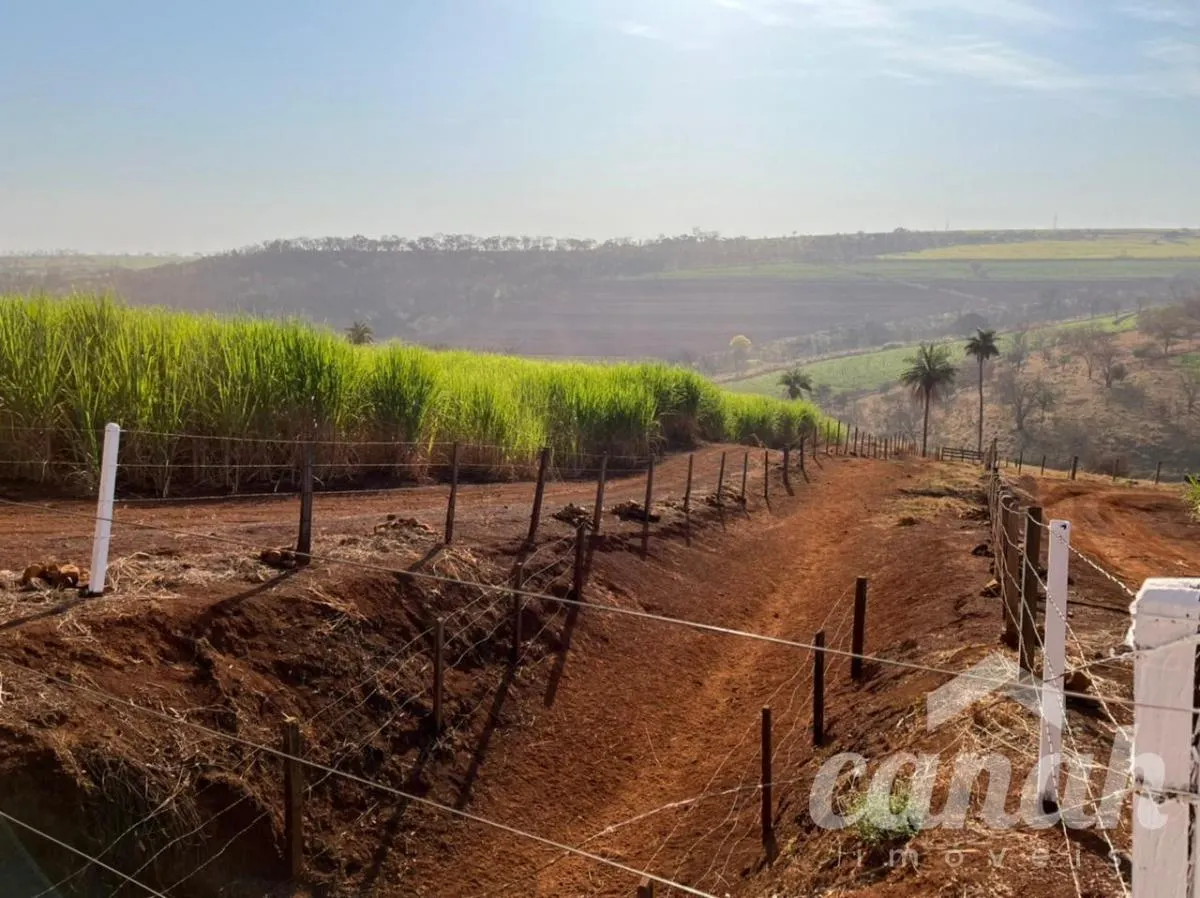 Fazenda à venda de 110 ha em Batatais, SP, Brasil