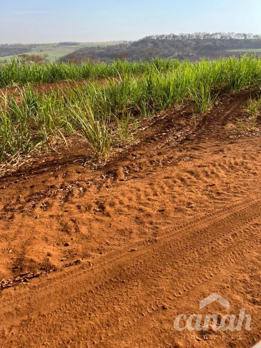Fazenda à venda de 110 ha em Batatais, SP, Brasil