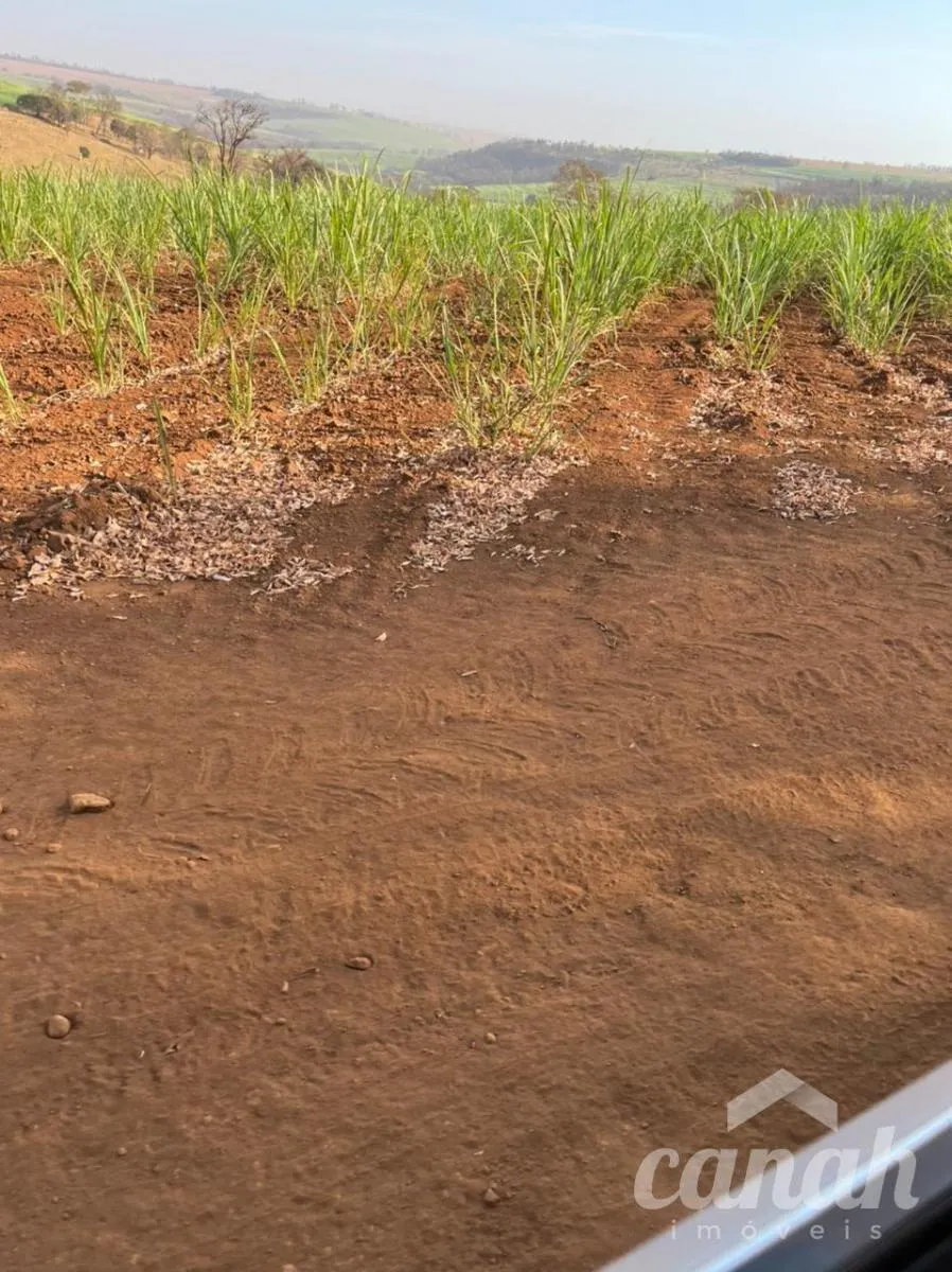 Fazenda à venda de 110 ha em Batatais, SP, Brasil