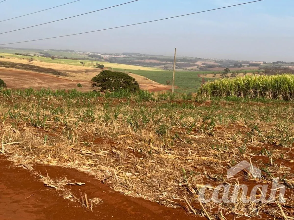 Fazenda à venda de 110 ha em Batatais, SP, Brasil