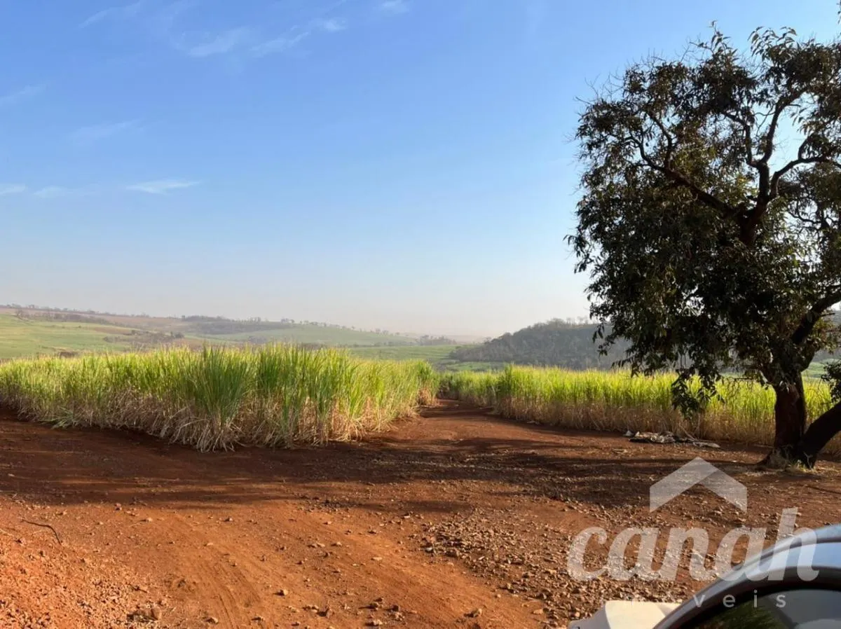 Fazenda à venda de 110 ha em Batatais, SP, Brasil