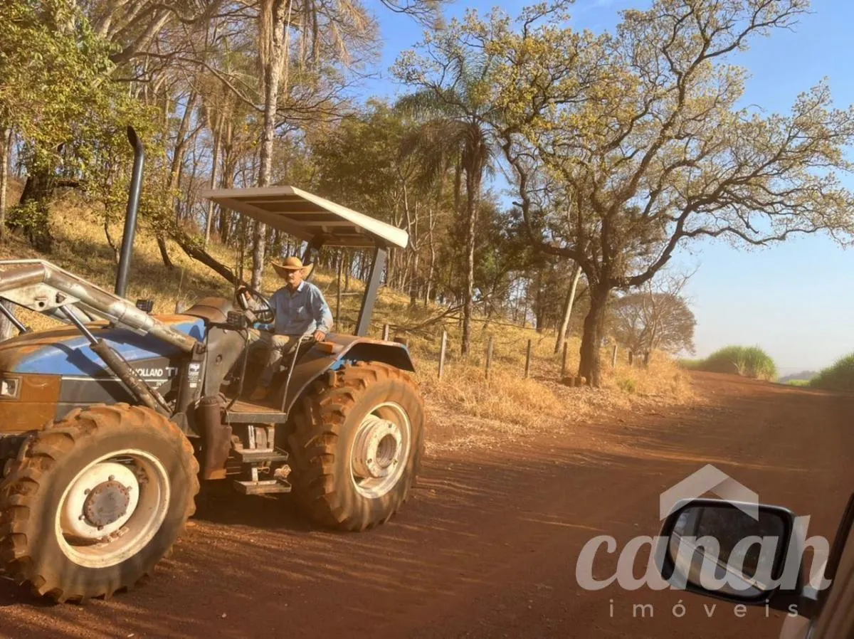 Fazenda à venda de 110 ha em Batatais, SP, Brasil