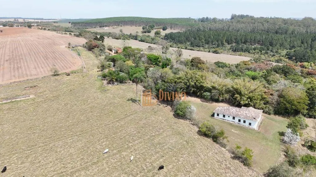 Fazenda à venda de 128 ha em Itapetininga, SP, Brasil
