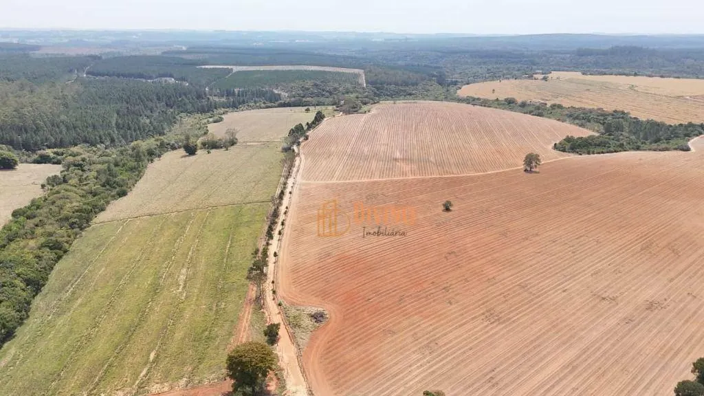 Fazenda à venda de 128 ha em Itapetininga, SP, Brasil
