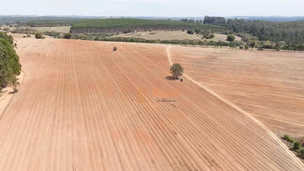 Fazenda à venda de 128 ha em Itapetininga, SP, Brasil