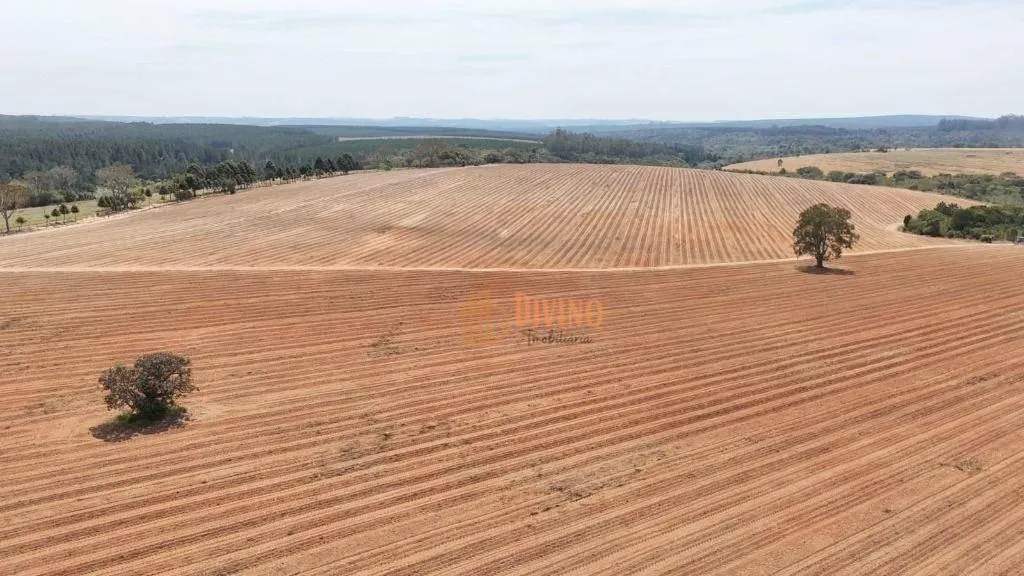 Fazenda à venda de 128 ha em Itapetininga, SP, Brasil