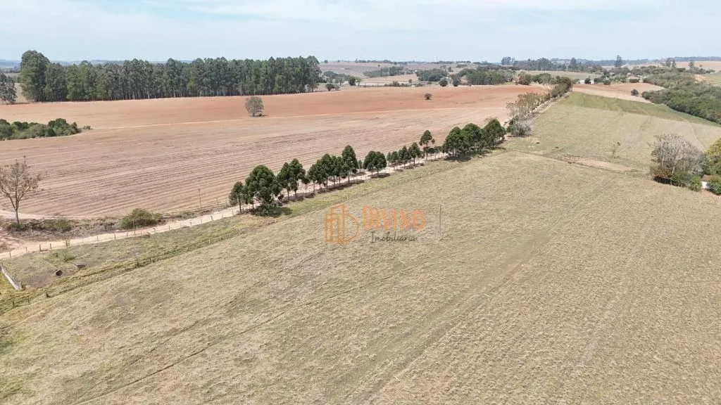 Fazenda à venda de 128 ha em Itapetininga, SP, Brasil