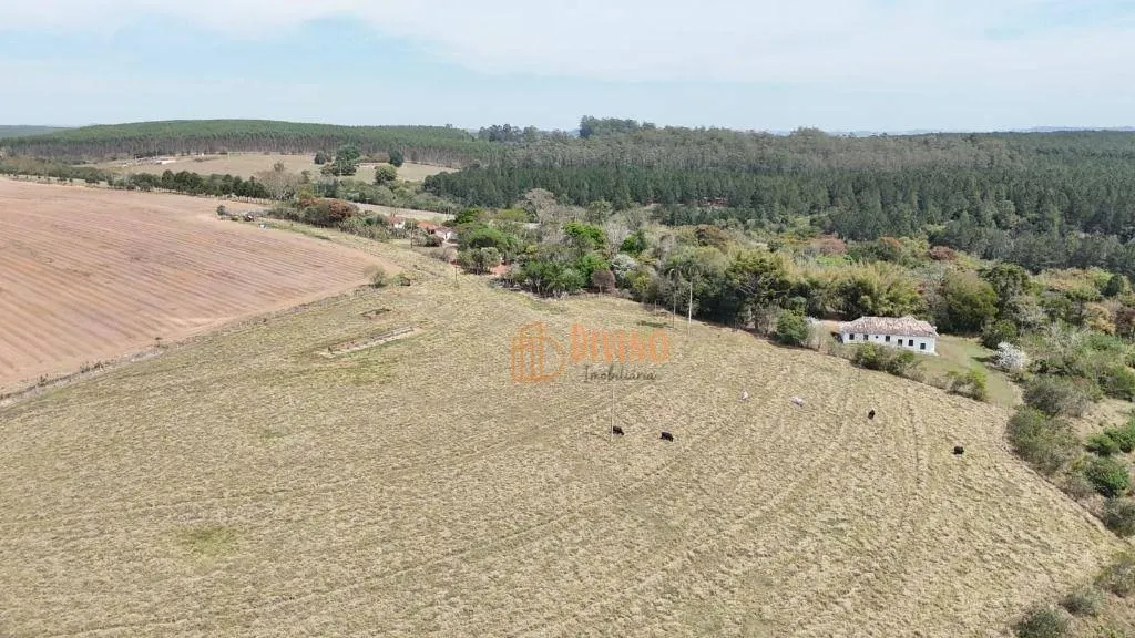 Fazenda à venda de 128 ha em Itapetininga, SP, Brasil