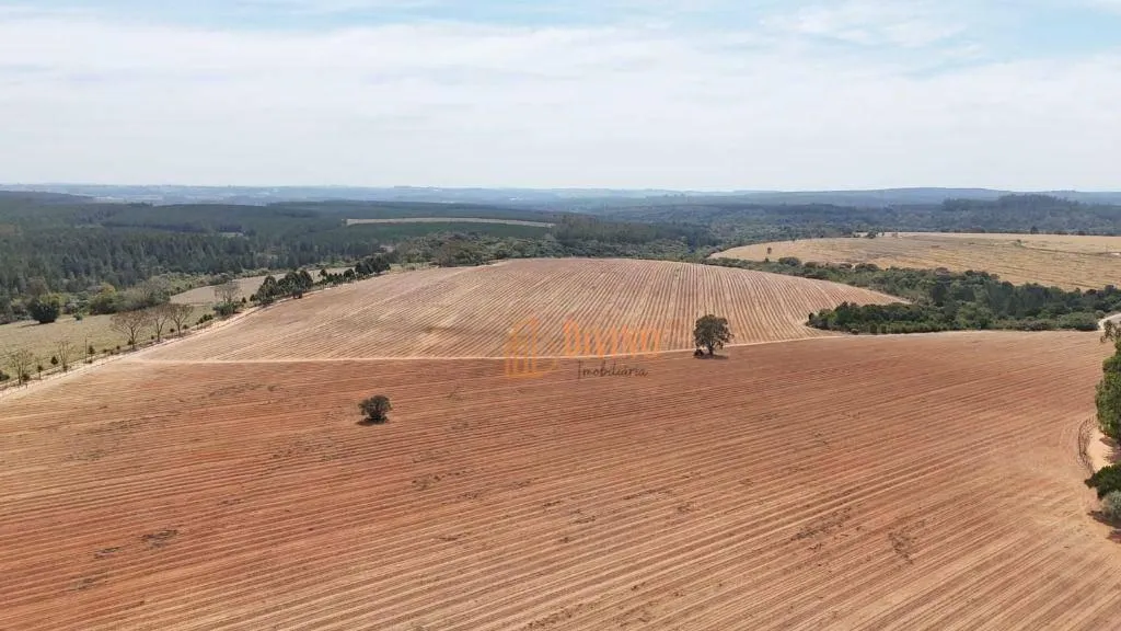 Fazenda à venda de 128 ha em Itapetininga, SP, Brasil