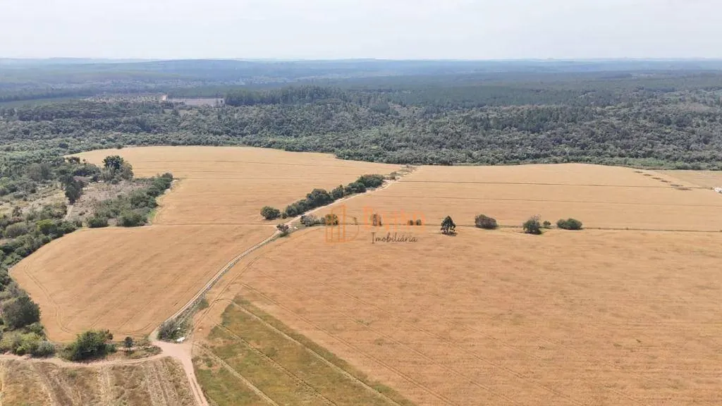 Fazenda à venda de 128 ha em Itapetininga, SP, Brasil