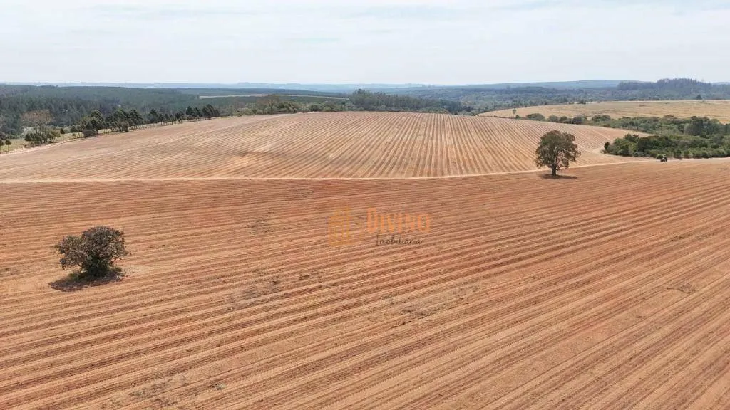 Fazenda à venda de 128 ha em Itapetininga, SP, Brasil